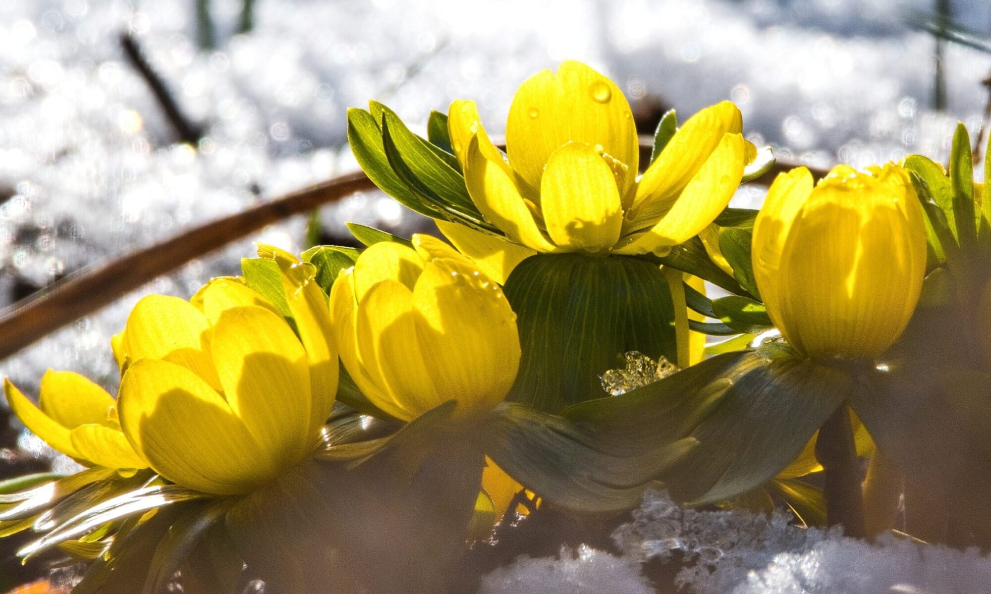 Pfarreiengemeinschaft Weissenhorn